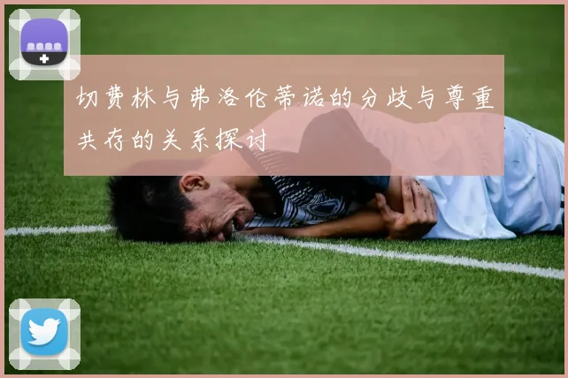 切费林与弗洛伦蒂诺的分歧与尊重共存的关系探讨